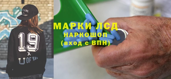 трава Коряжма