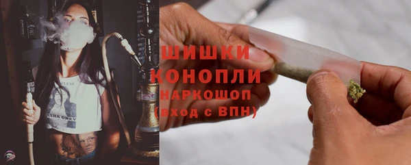 трава Коряжма