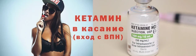 трава Коряжма