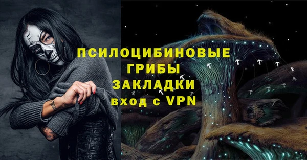 трава Коряжма