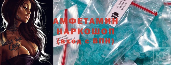трава Коряжма