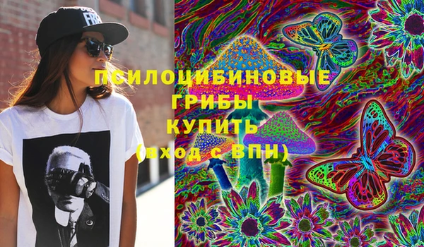 трава Коряжма