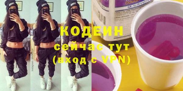 трава Коряжма